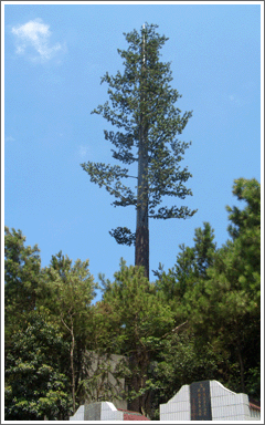 �����F��