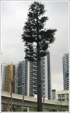 �����F��