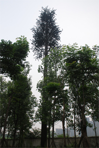 �����F��