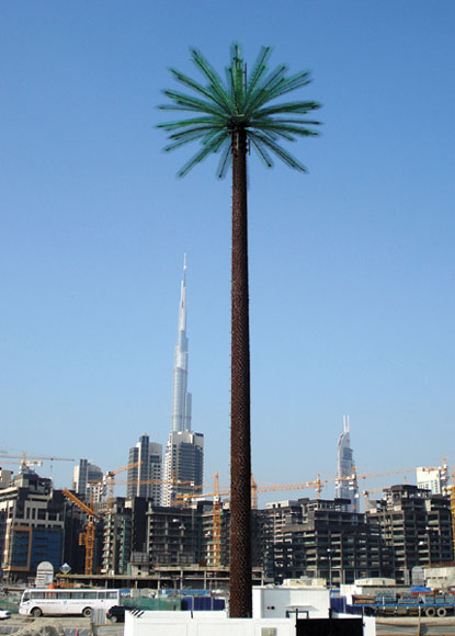 �����F��