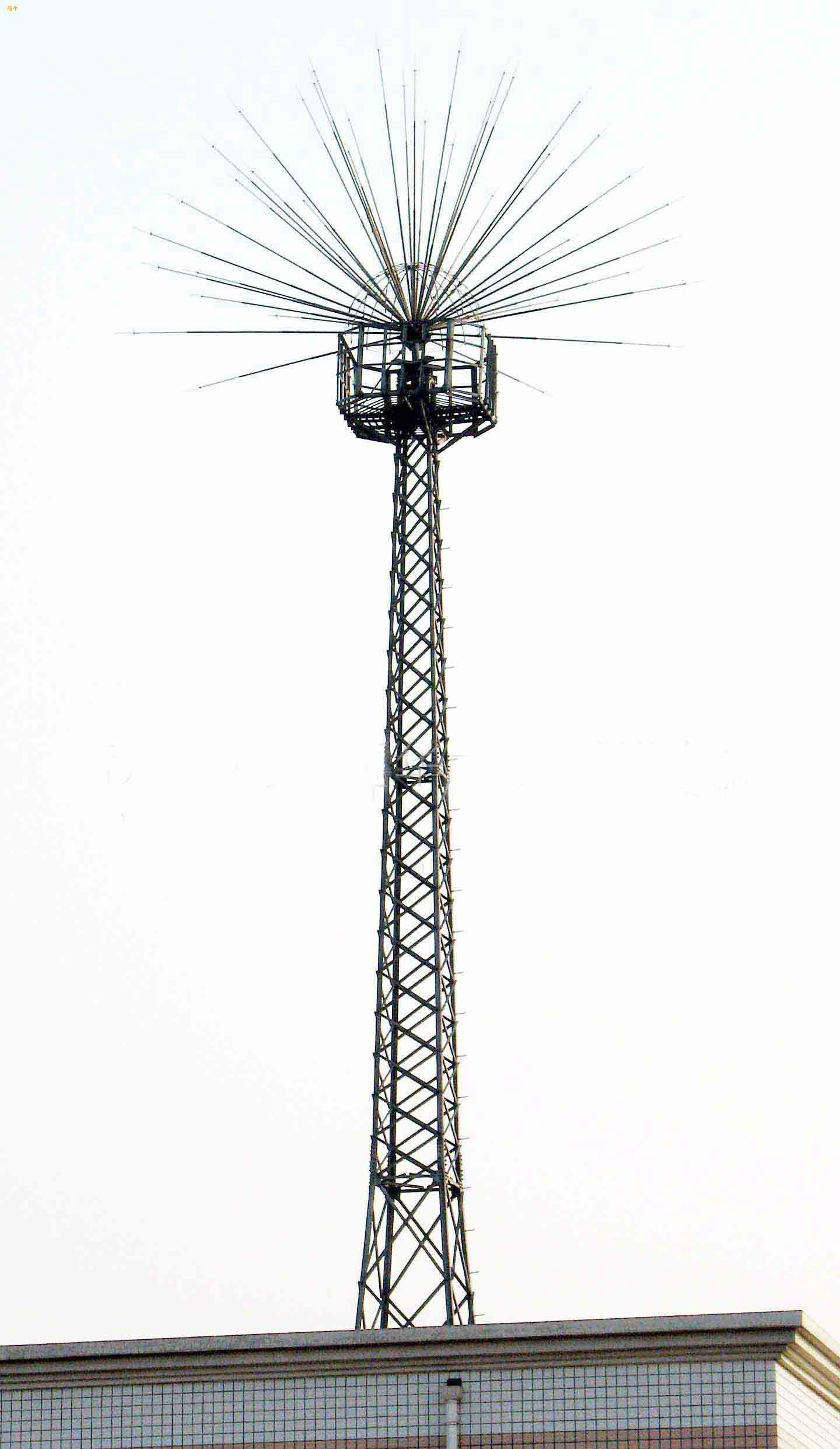 GFLϵ�б������