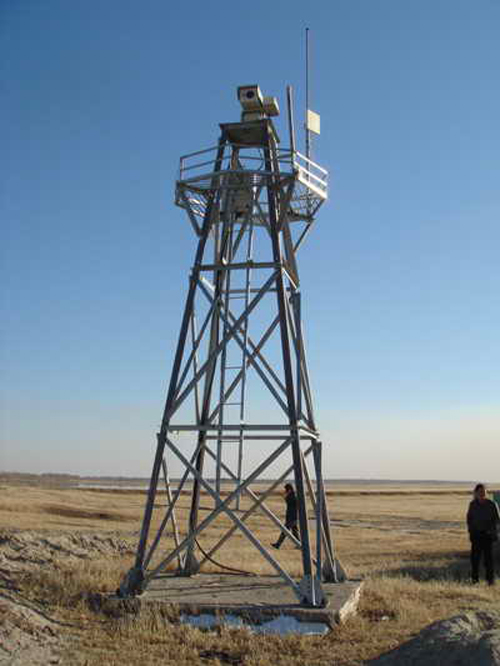 �O(ji��n)����