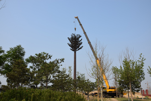 �F���C�ϴ��S�����������